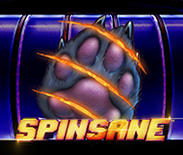 Spinsane